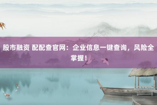 股市融资 配配查官网：企业信息一键查询，风险全掌握！