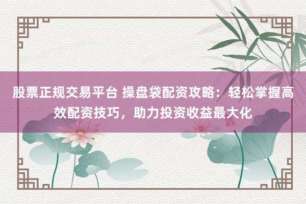 股票正规交易平台 操盘袋配资攻略：轻松掌握高效配资技巧，助力投资收益最大化