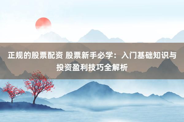 正规的股票配资 股票新手必学：入门基础知识与投资盈利技巧全解析
