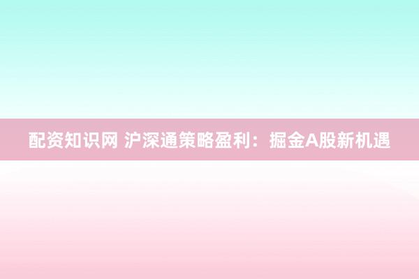 配资知识网 沪深通策略盈利:掘金A股新机遇