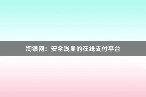 淘银网：安全浅显的在线支付平台