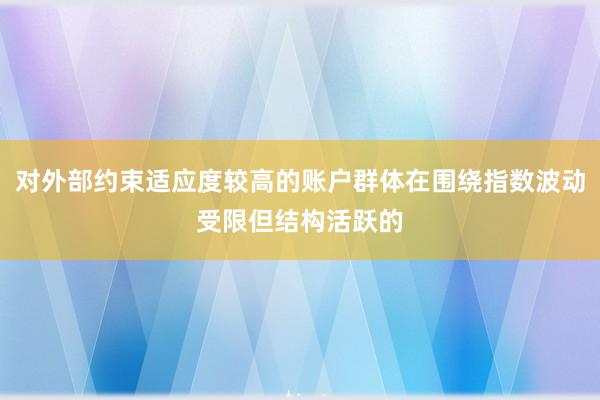 对外部约束适应度较高的账户群体在围绕指数波动受限但结构活跃的