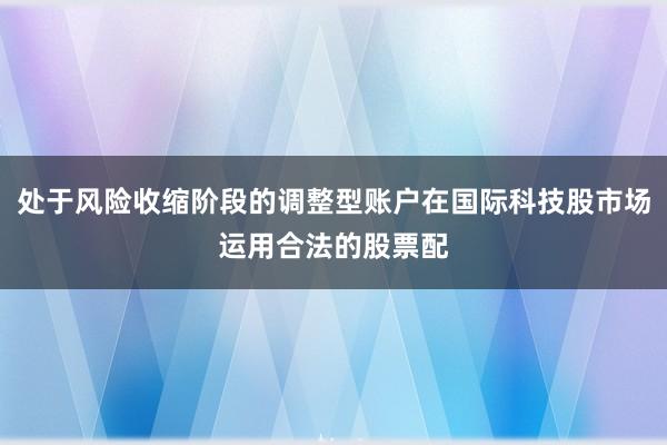 处于风险收缩阶段的调整型账户在国际科技股市场运用合法的股票配