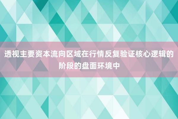 透视主要资本流向区域在行情反复验证核心逻辑的阶段的盘面环境中