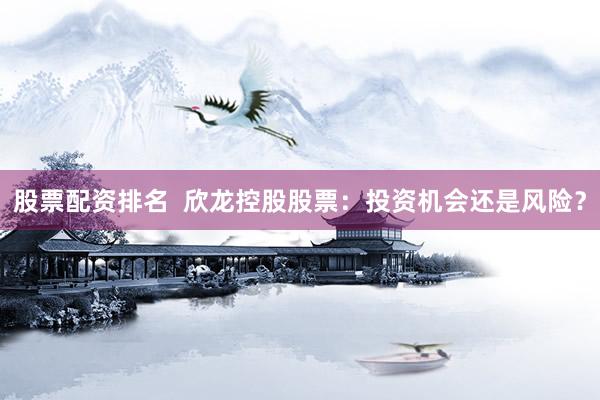 股票配资排名  欣龙控股股票：投资机会还是风险？