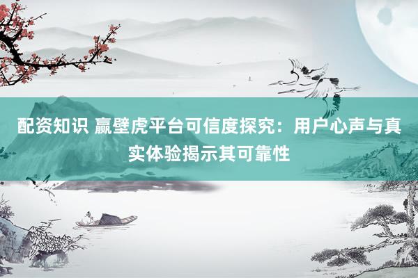 配资知识 赢壁虎平台可信度探究：用户心声与真实体验揭示其可靠性