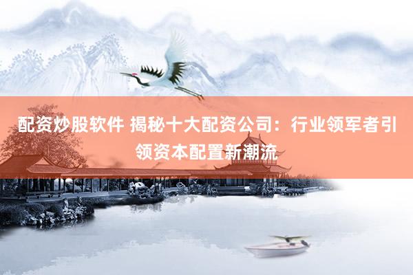 配资炒股软件 揭秘十大配资公司：行业领军者引领资本配置新潮流