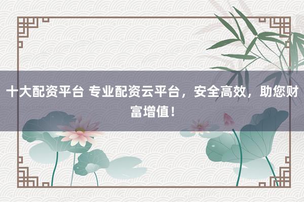 十大配资平台 专业配资云平台，安全高效，助您财富增值！