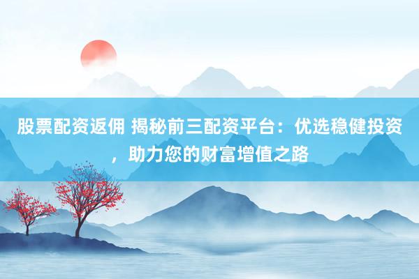 股票配资返佣 揭秘前三配资平台：优选稳健投资，助力您的财富增值之路