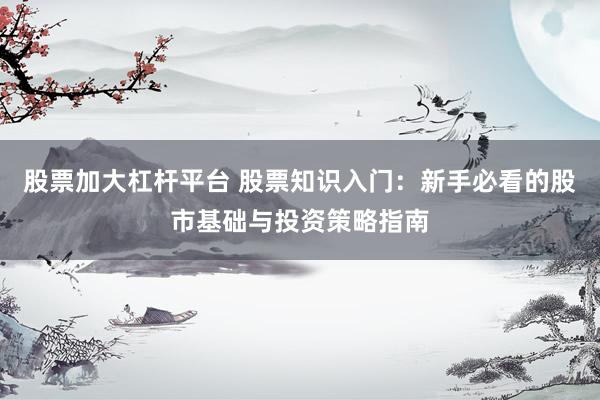 股票加大杠杆平台 股票知识入门：新手必看的股市基础与投资策略指南